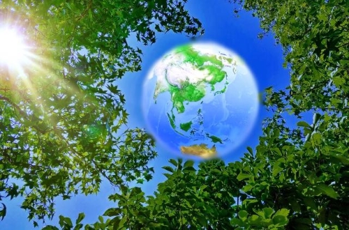 ISSBとSSBJの基本的な違い