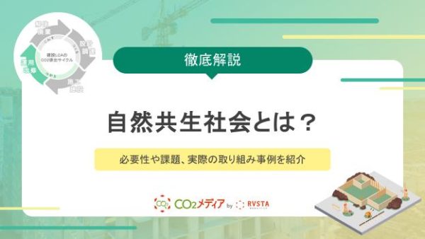 自然共生社会とは？必要性や課題、実際の取り組み事例を紹介