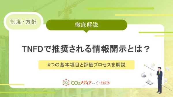 TNFDで推奨される情報開示とは？4つの基本項目と評価プロセスを解説