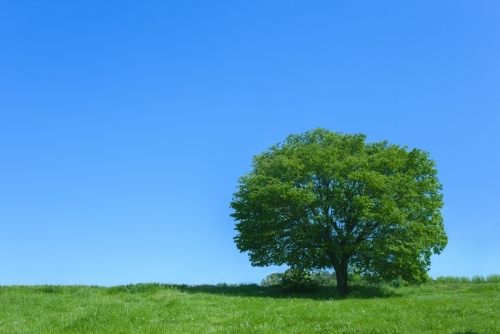 SDGsとは17の持続可能な国際目標のこと