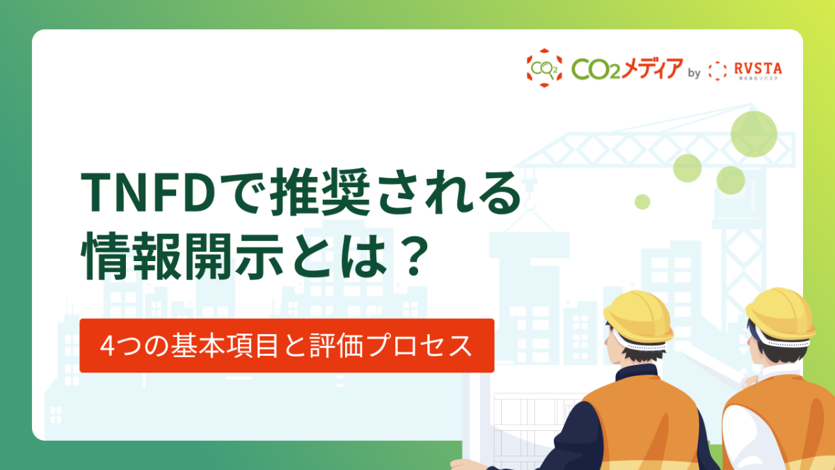 TNFDで推奨される情報開示とは？4つの基本項目と評価プロセスを解説