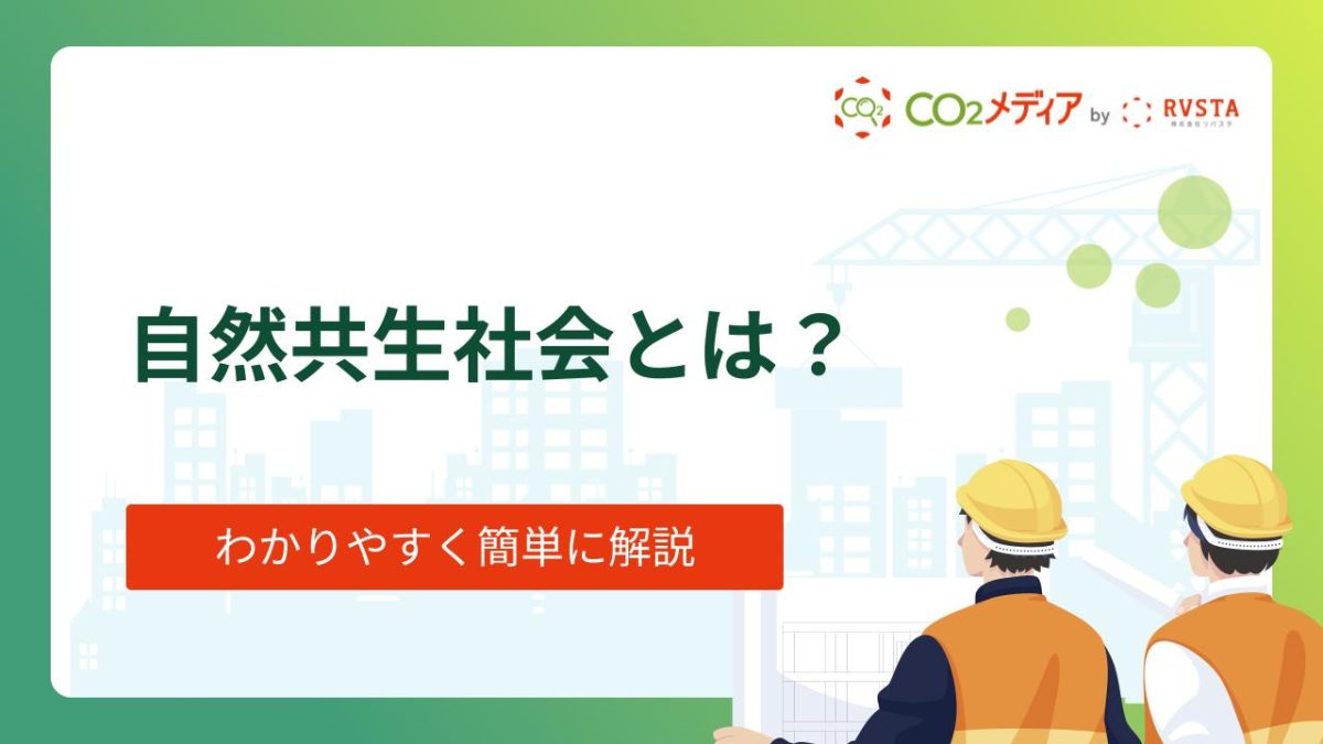 自然共生社会とは?必要性や課題、実際の取り組み事例を紹介