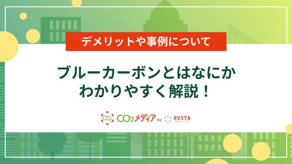 ブルーカーボンとはなにか わかりやすく解説！デメリットや事例について