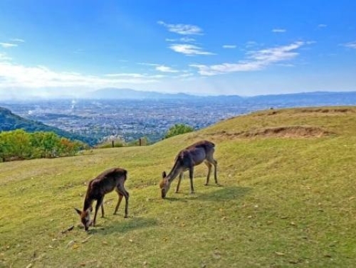 【奈良県】工事成績評定の特徴