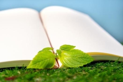 CO2吸収コンクリート