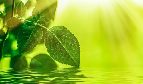 エネルギー問題の解決策に関するよくある質問