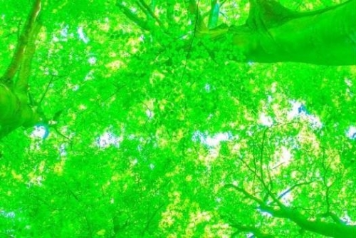 サーキュラーエコノミーを取り入れる際のポイント