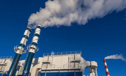 バイオマス発電で使用される燃料の種類