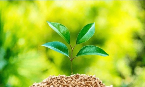 バイオマス発電を行うメリット