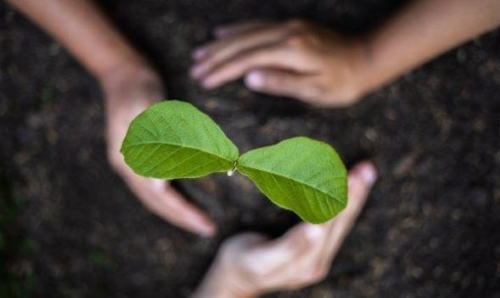 ブルー水素に関する日本の取り組み事例