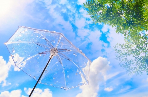 建設業が行えるSDGsへの取り組み事例