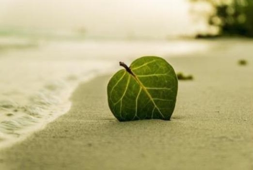 脱炭素の取り組みが重要視されている理由